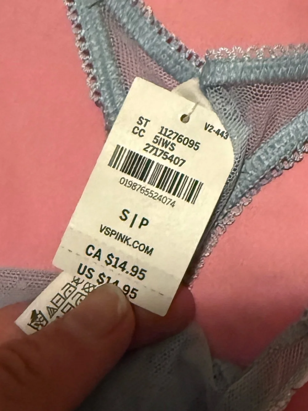 PINK Victoria's Secret Light Blue Sheer Floral-Trim Thong